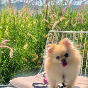 EVERYTHING BELOW THIS POST IS SOLD OR NOT FOR SALE